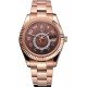 Rolex Sky Dweller Brown Dial Rose Gold Case Brown Leather Strap