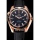 Omega Seamaster Planet Ocean Ceragold Black Dial 622389